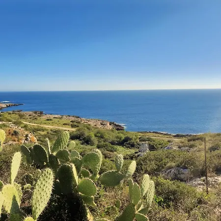 Casa Cleopatra Beachfront